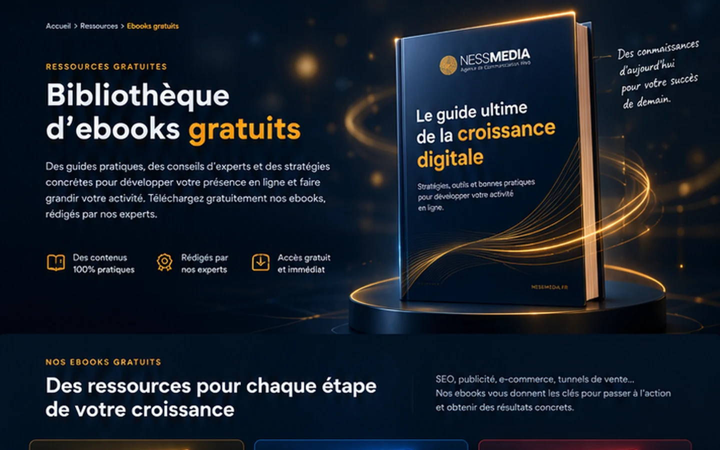 Bibliothèque des guides et ebooks Nessmedia